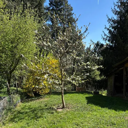 Rheingaulodge -ihre Auszeit Am Rheinsteig Oestrich-Winkel