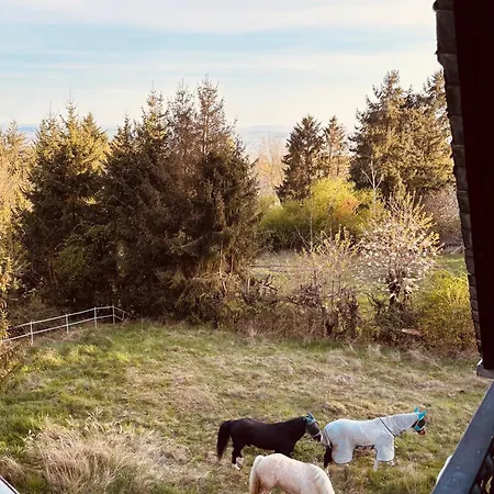 Holiday home Rheingaulodge -ihre Auszeit Am Rheinsteig *