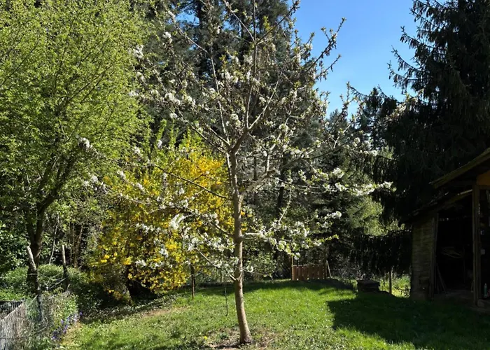 Rheingaulodge -ihre Auszeit Am Rheinsteig 厄斯特里希·温克尔